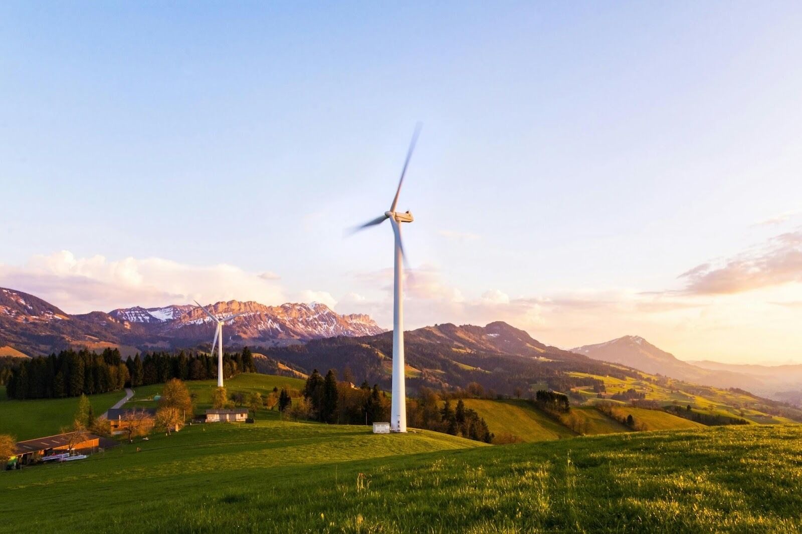 Exploring the Benefits of Switching to Renewable Energy